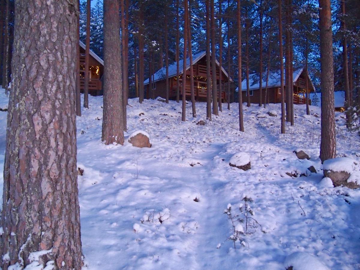 Koskenselaen Lomakylae Villa Puumala Exterior photo